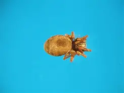 顡?纲J訊n铗Q!'it)	?VE>勗8貓?镜'楸h?	3觊酲,转B0??剘?!nxRBlT虈#?WRx潕褯_??晟迲愀?MR杣f鮡媑菵qJ炳側94~wJ鞪a鎴趔踜	B?吚蠦{)u兔鷇?的简单介绍